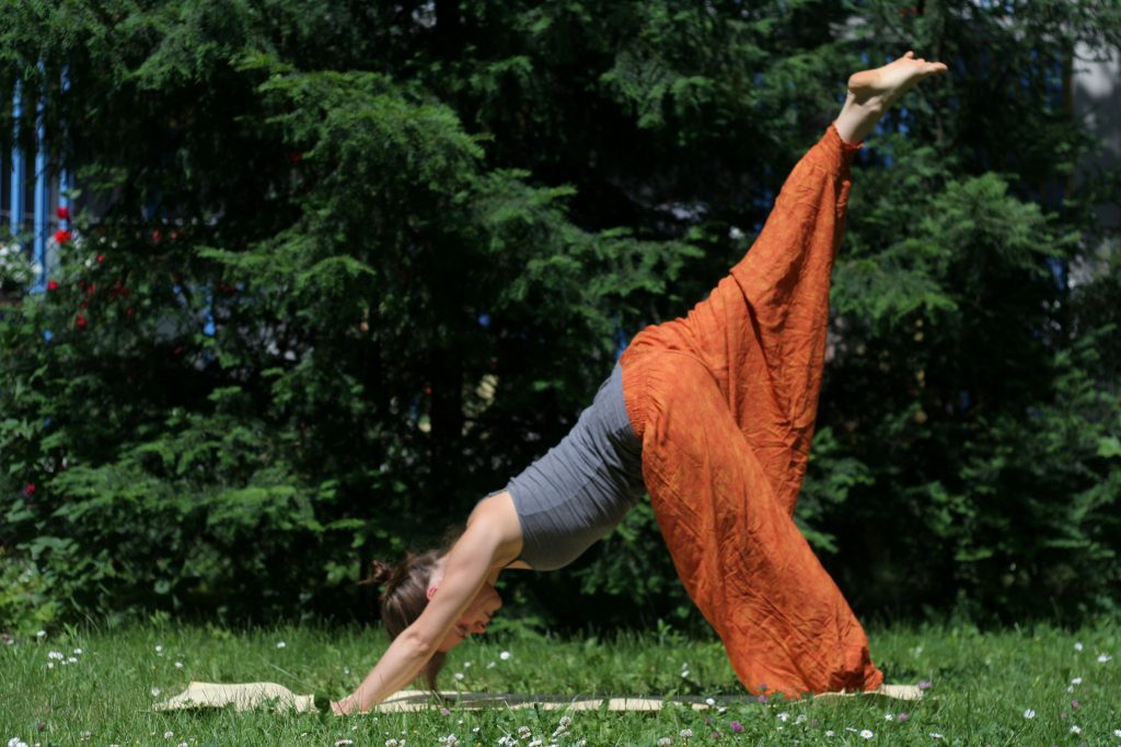 Jógás erdei meditációs programok Zebegényben